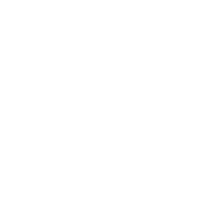 logo ca' del portico