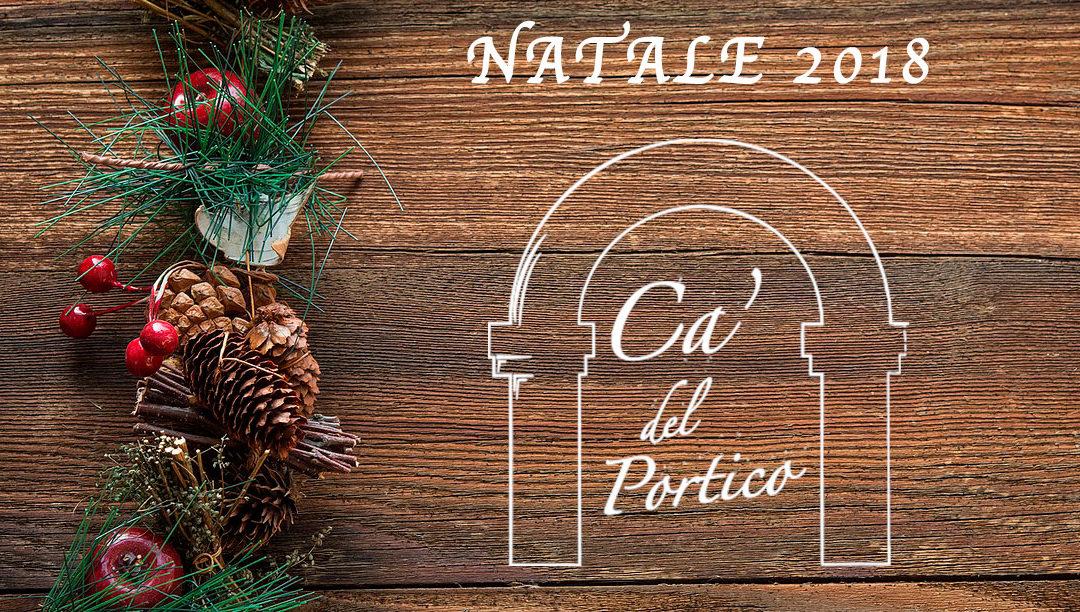 Il nostro Pranzo di Natale